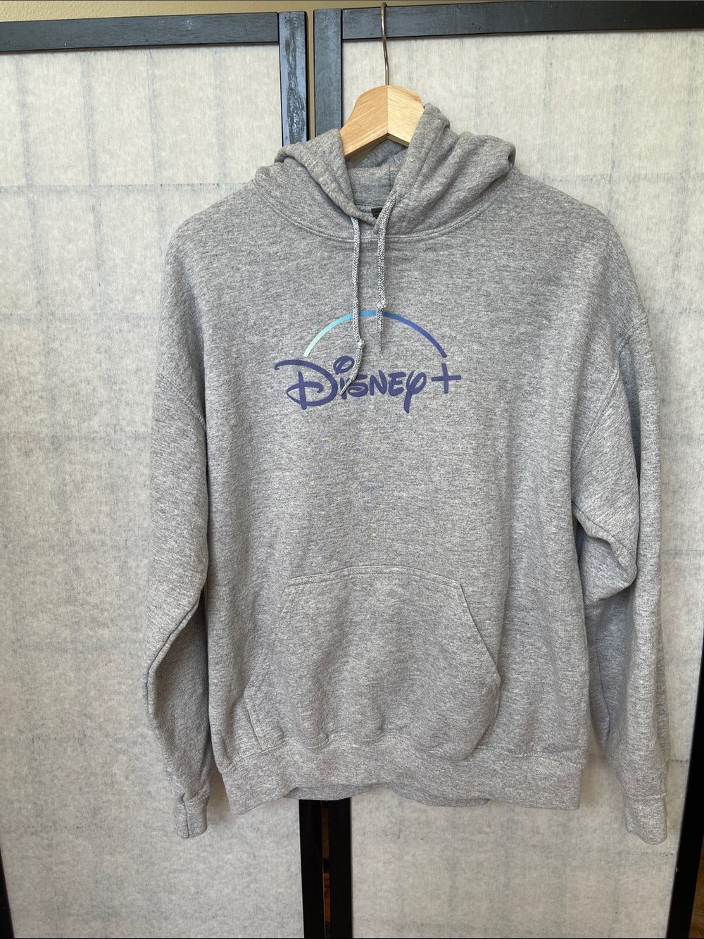 Gildan Light Grey Hoodie with Blue Disney+ Logo